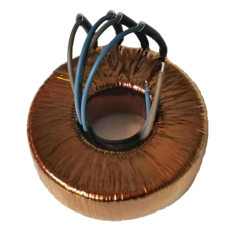 Customized Manufacturer 100W H Class Insulation Toroidal Transformer for Medical Equipment